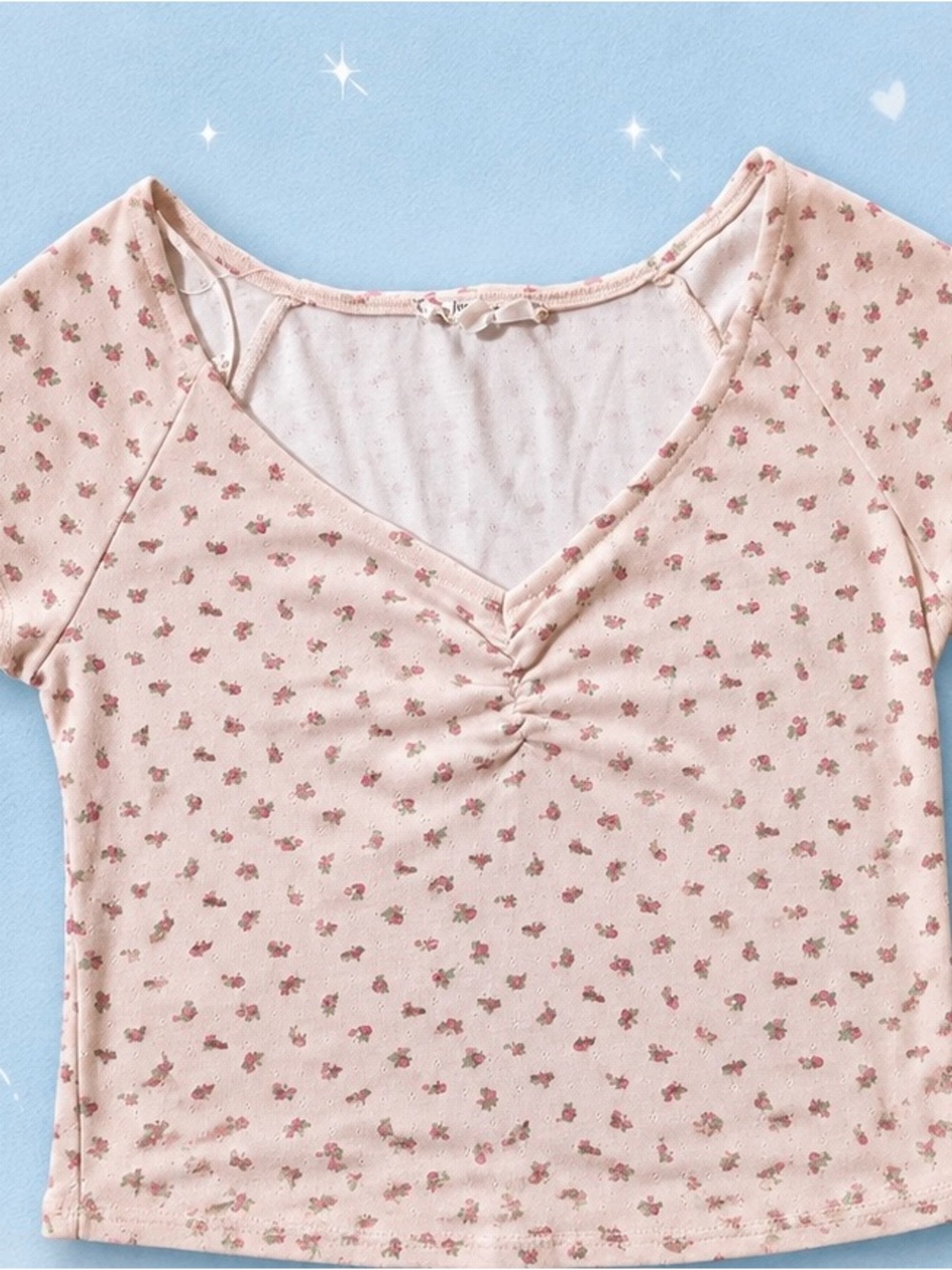 Pink Republic Blush Floral Ruched V-Neck Crop Top